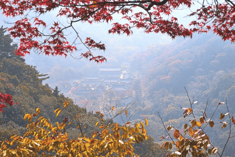 가을 여행하기 좋은 국내 명소 BEST 10 2 2. 내장산 국립공원 (전라북도) – 단풍의 왕국