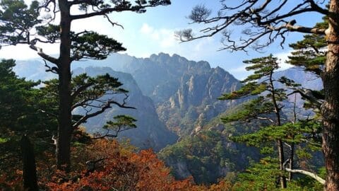가을 여행하기 좋은 국내 명소 BEST 10 1 1. 설악산 국립공원 (강원도) – 웅장한 단풍의 향연