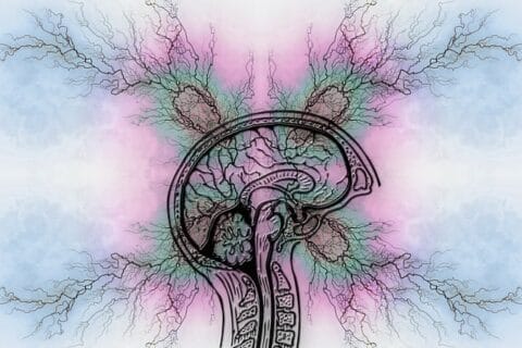 성인 ADHD 진단 전에 알아야 할 10가지 주요 증상 성인 ADHD 진단 전에 알아야 할 10가지 주요 증상