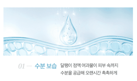 자민경 달팽이크림 효과 직접 써보고 놀란 후기 3 자민경 달팽이크림 효과 직접 써보고 놀란 후기