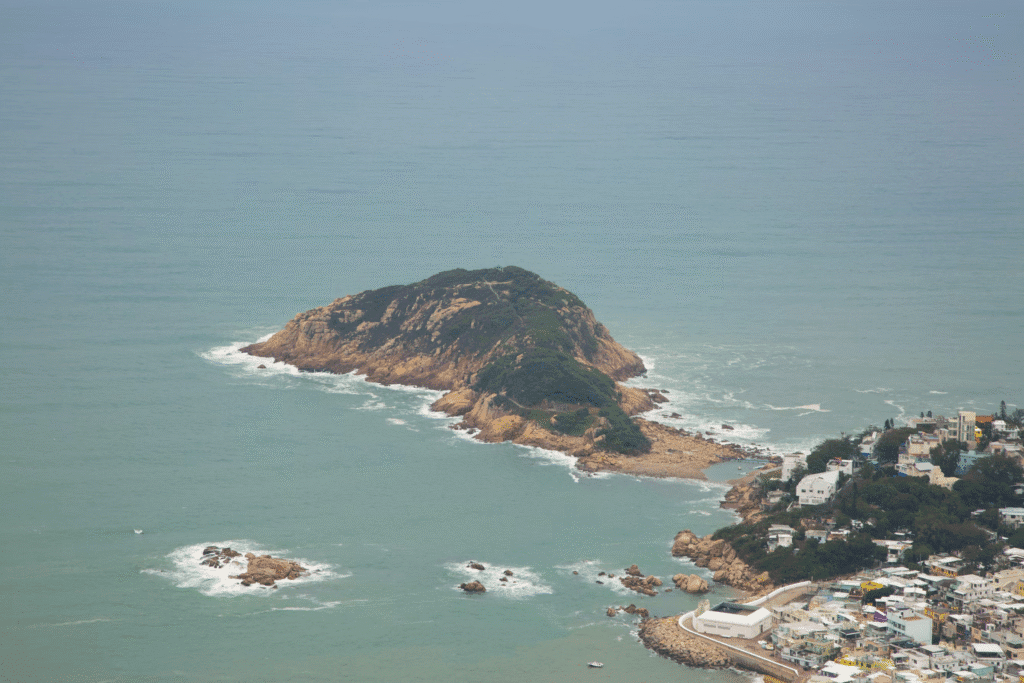 완도타임스가 전한 충격적 진실 4 완도타임스가 전한 충격적 진실