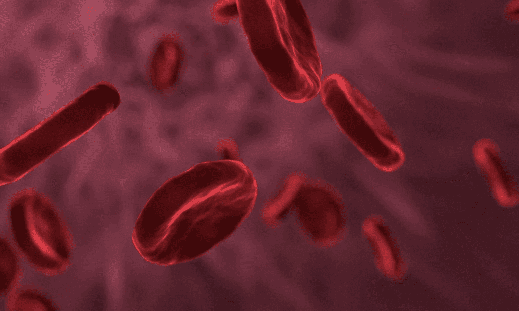 GIEMSASTAIN, 당신의 세포가 숨겨온 충격적인 비밀을 폭로하다? 2 GIEMSASTAIN, 당신의 세포가 숨겨온 충격적인 비밀을 폭로하다?